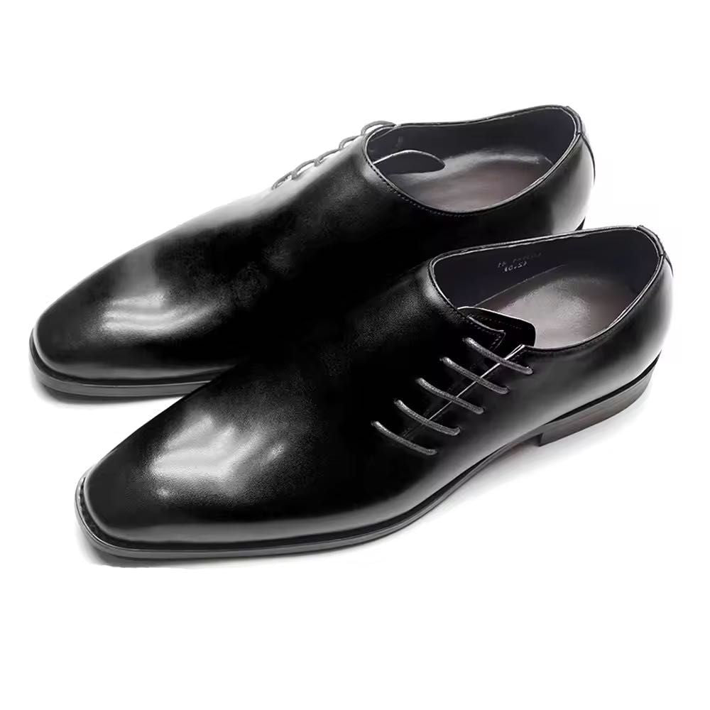 Zurich Refined Oxfords